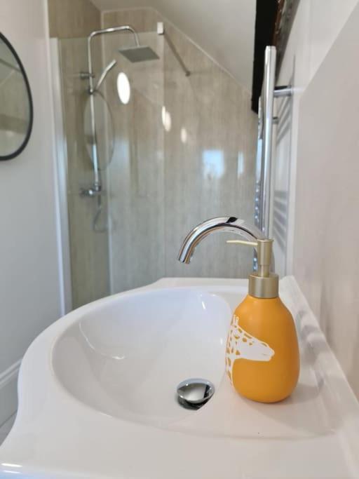 נורת' וולסהאם Stylish Georgian Apartment In An Ideal Location מראה חיצוני תמונה